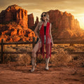 Boho/Western Style Sleeveless Fringe Vest