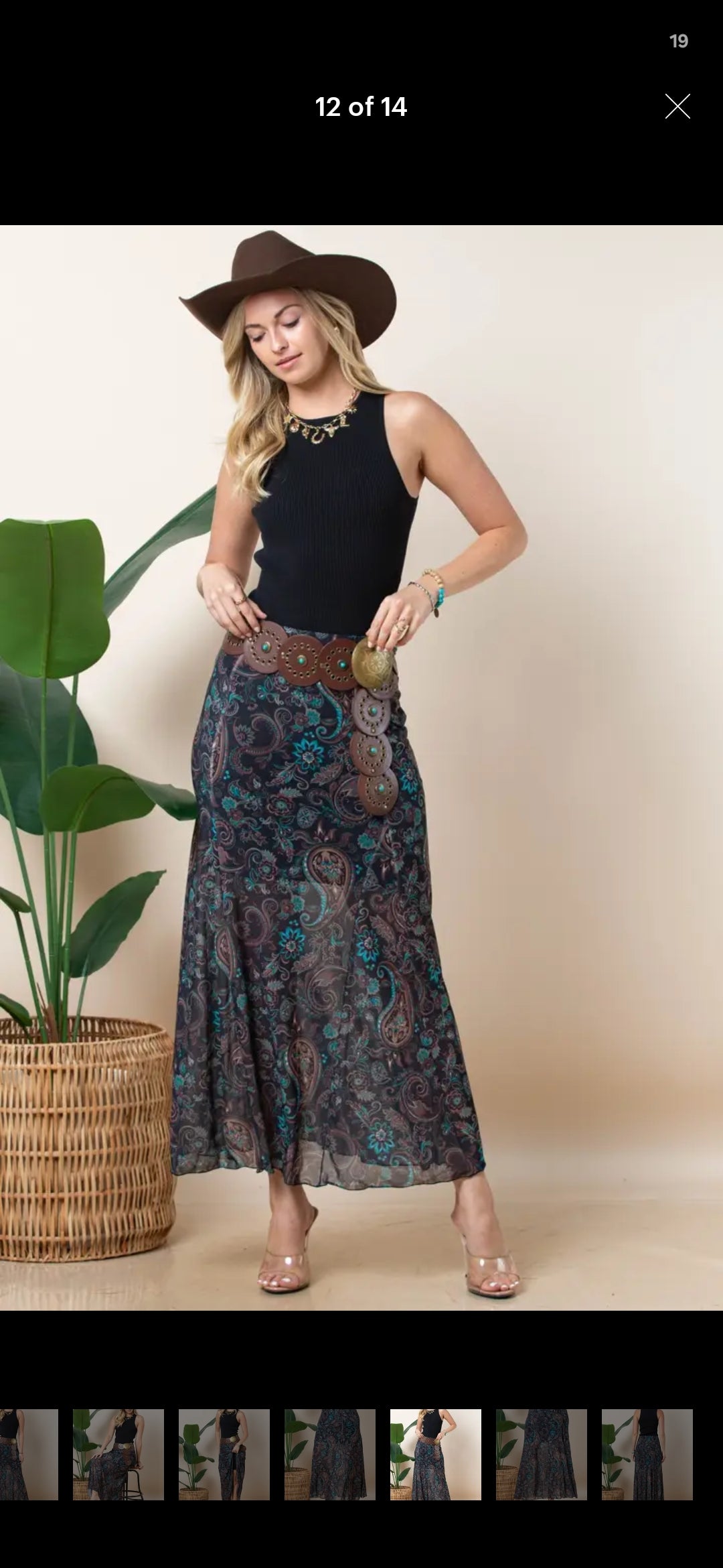 Paisley Print Mesh Skirt