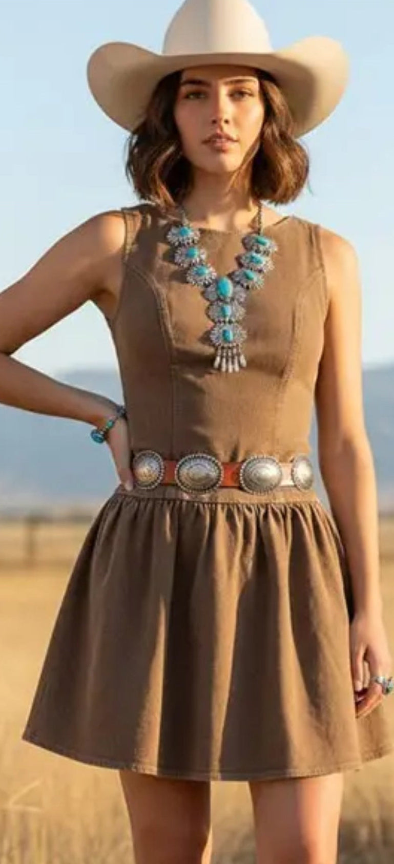Prairie Charm Stretch Denim Dress